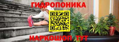 гашиш Новозыбков