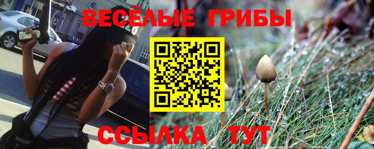 Галлюциногенные грибы Psilocybine cubensis  Вход с VPN  Губкин 
